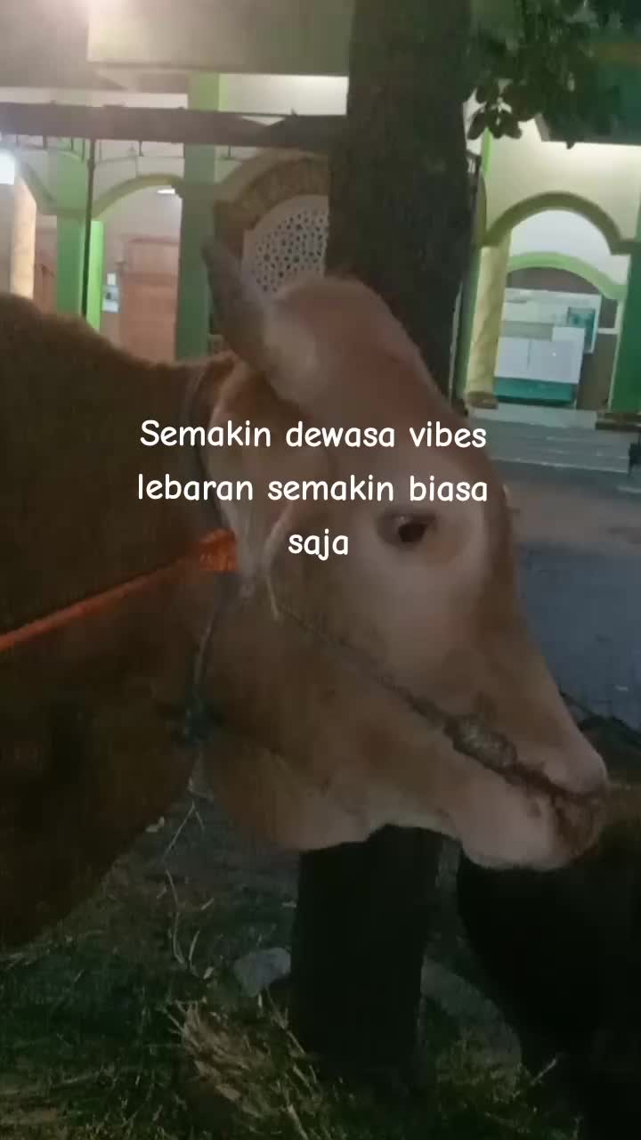 @๐น๐๐๐