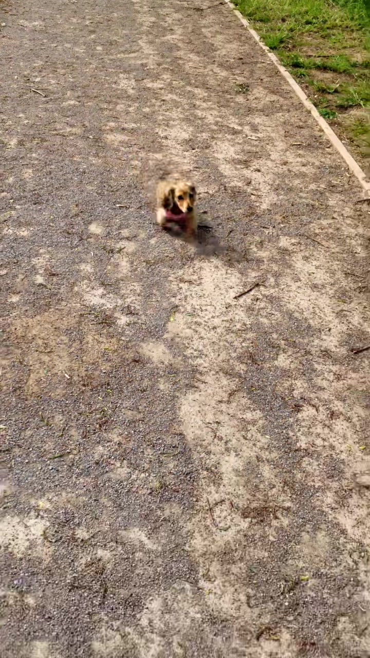 @Zarathesausage