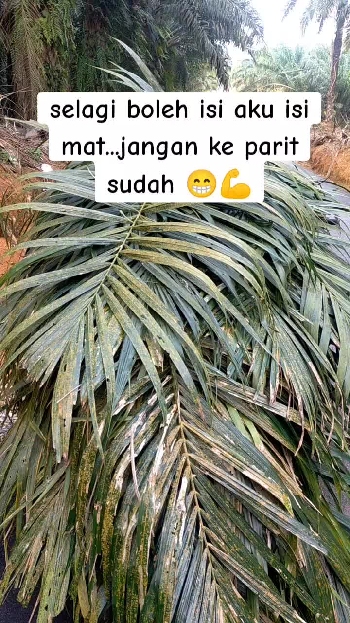 @Bro Izam
