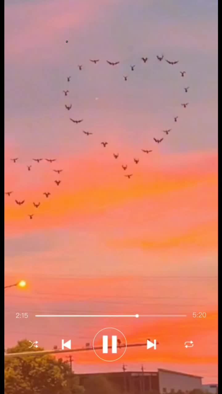 @s_________h(lyrics)