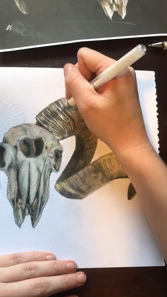 @Jade Browning - Illustrator