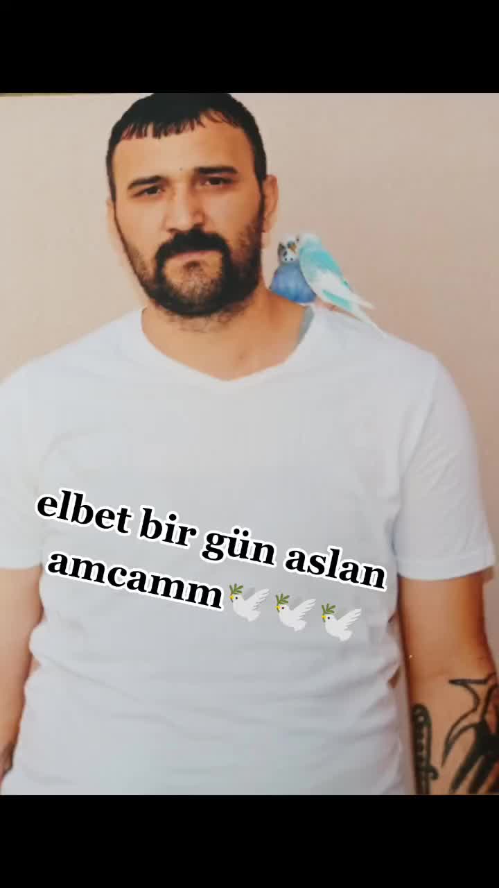 @🔗Aslan🕊️&Ouml;zt&uuml;rk🔗
