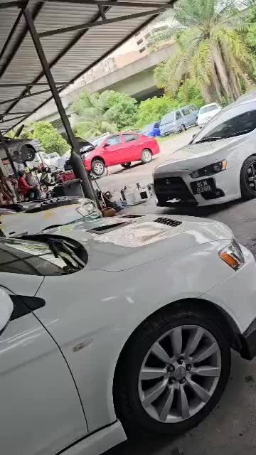 @Q_SHARK