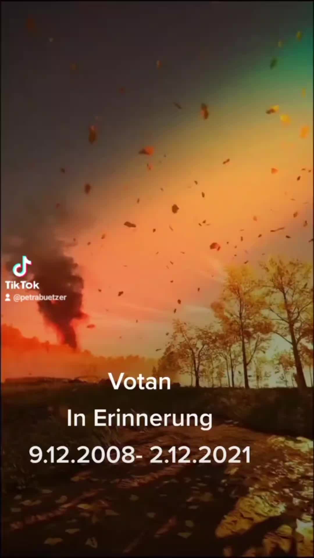 @Fellnasen WG