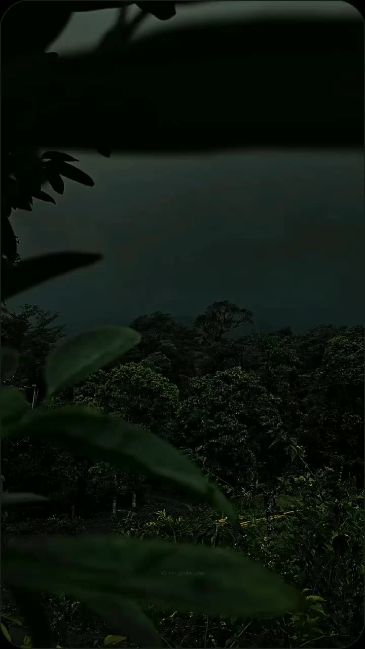 @༄❥︎𝑄𝑢𝑒𝑒𝑛ꨄ︎&bull;