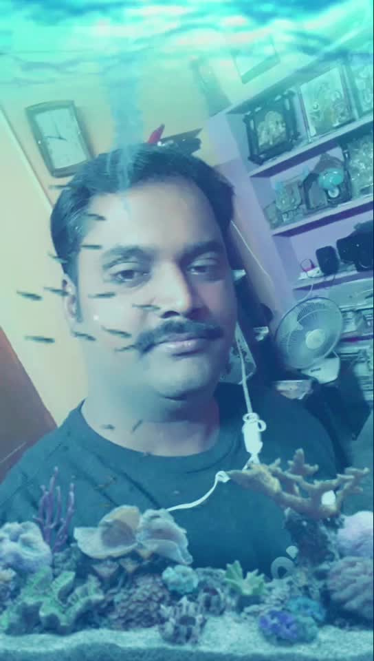 @S Srinivas