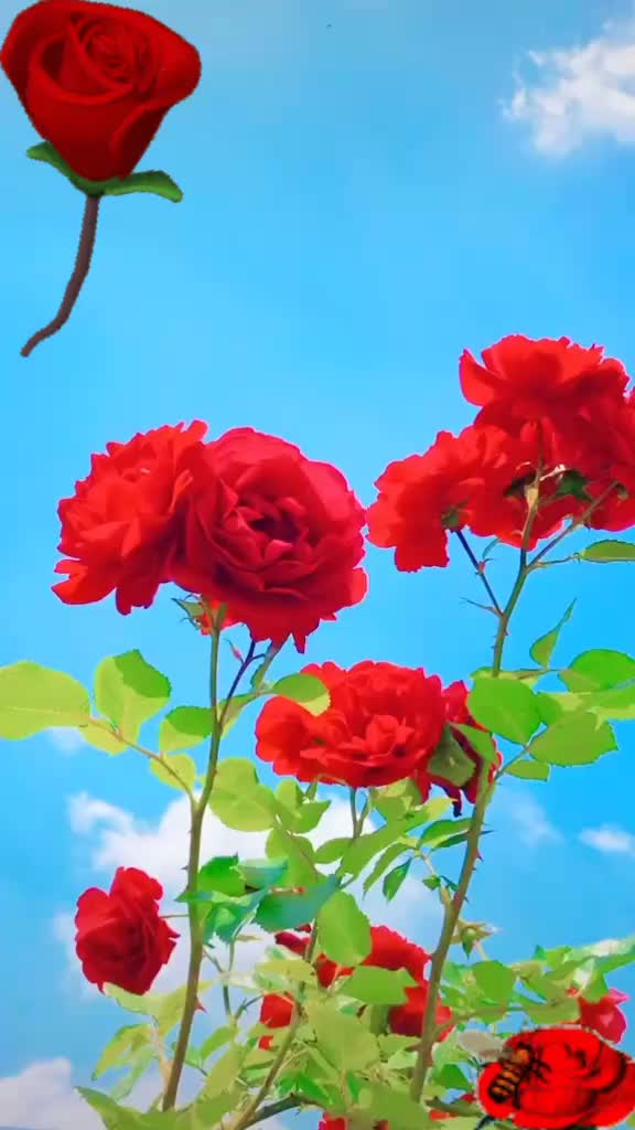 @꧁♥⃝🦋RAJKUMAR꧁♥⃝🦋