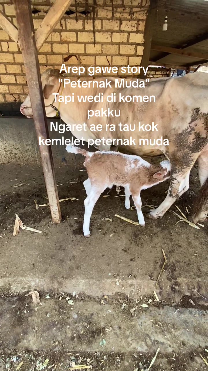 @Zaenal Abd