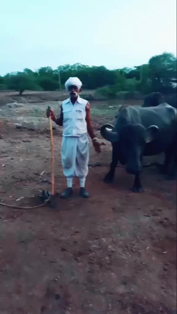 @D.K.ભુવા