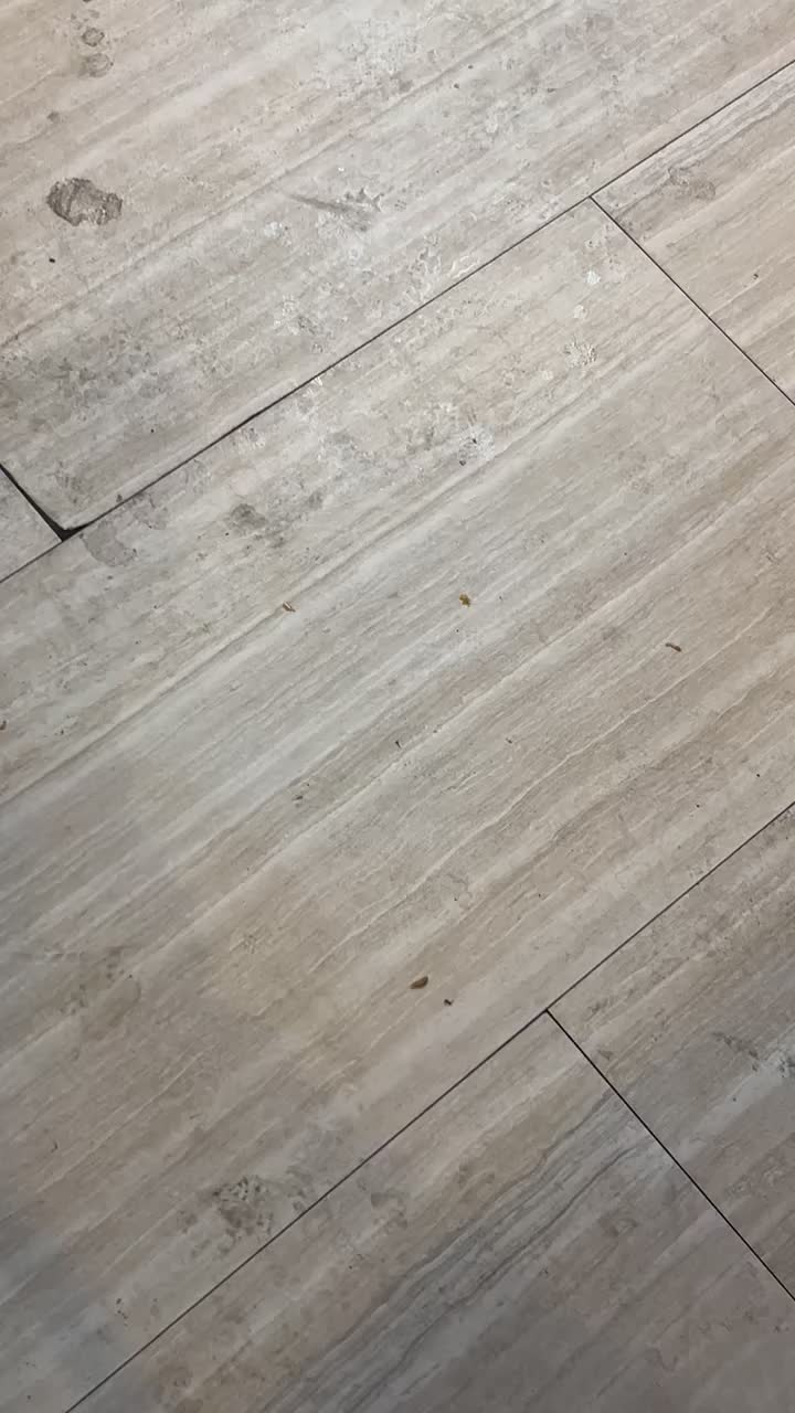 @EseGera21