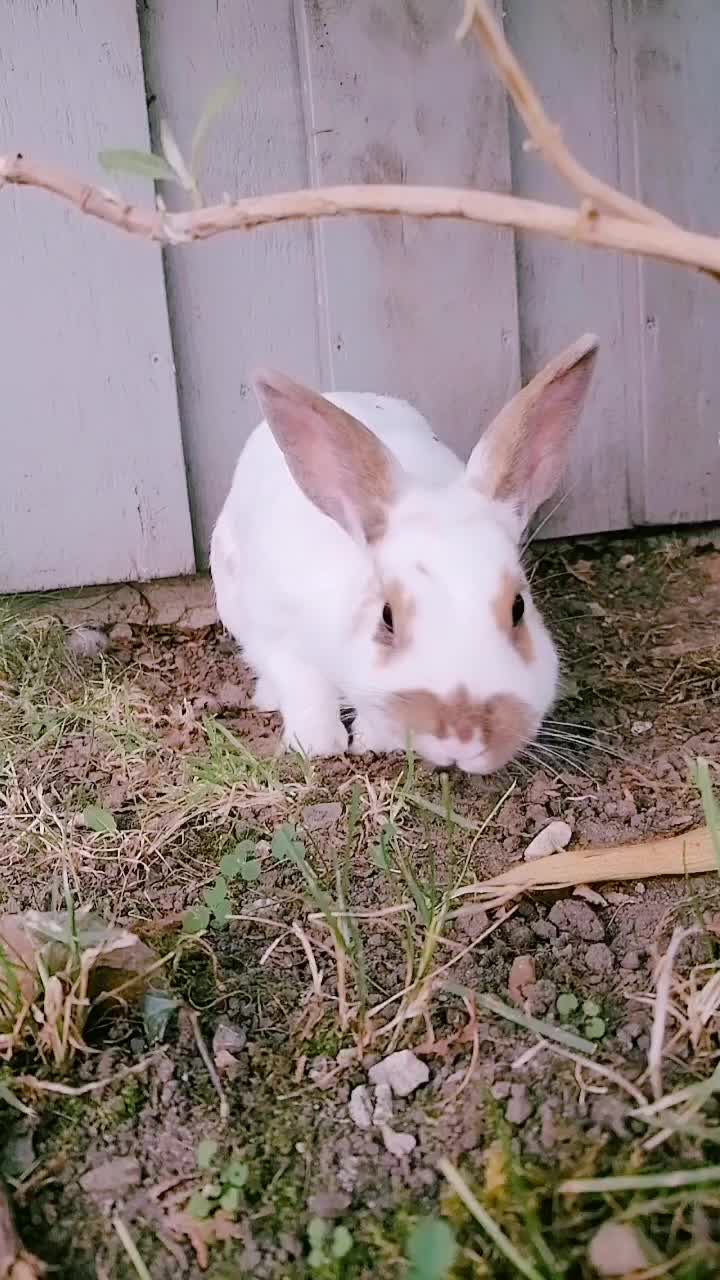 @✌︎