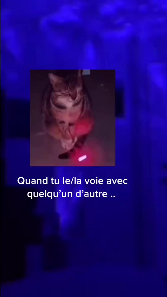 @je rend en 1 sec spam= bloquer