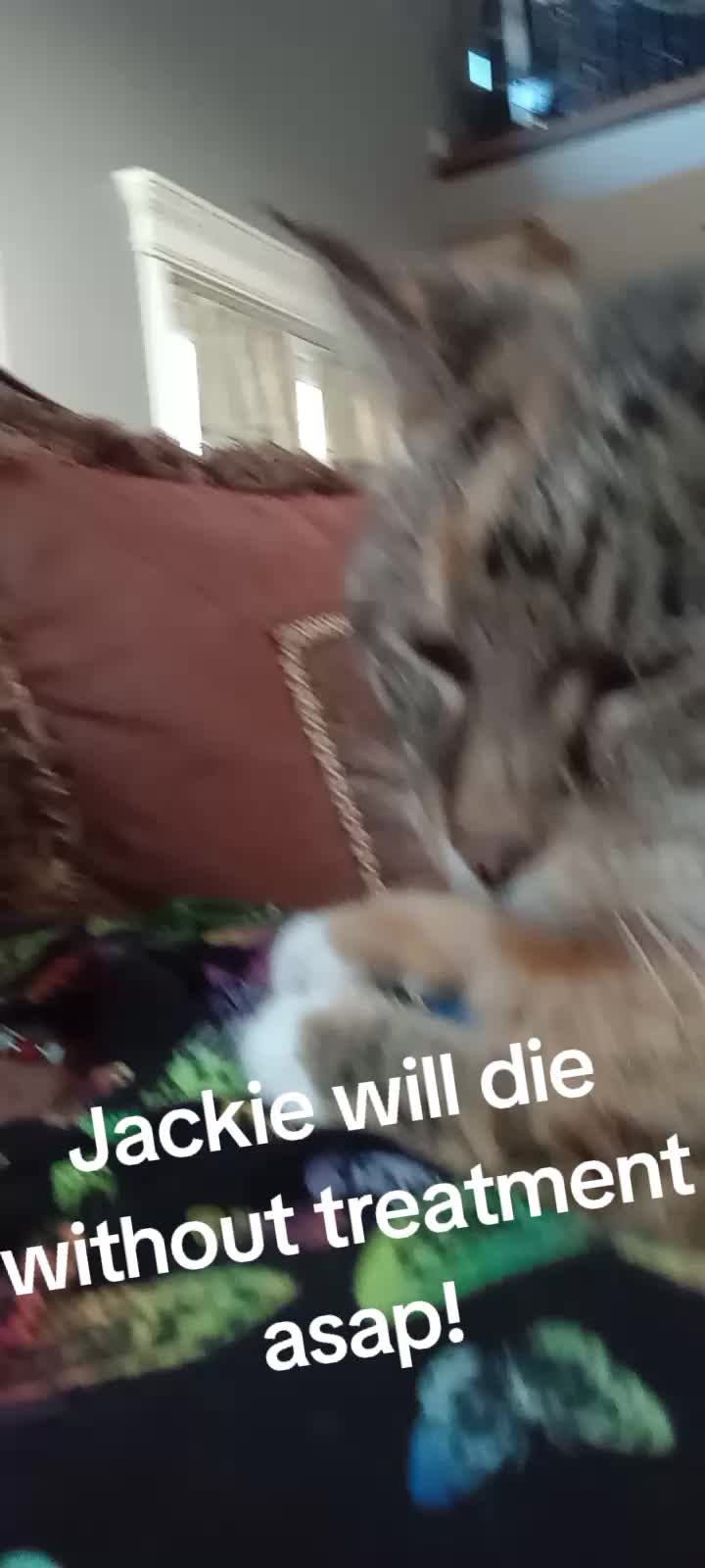 @Tam