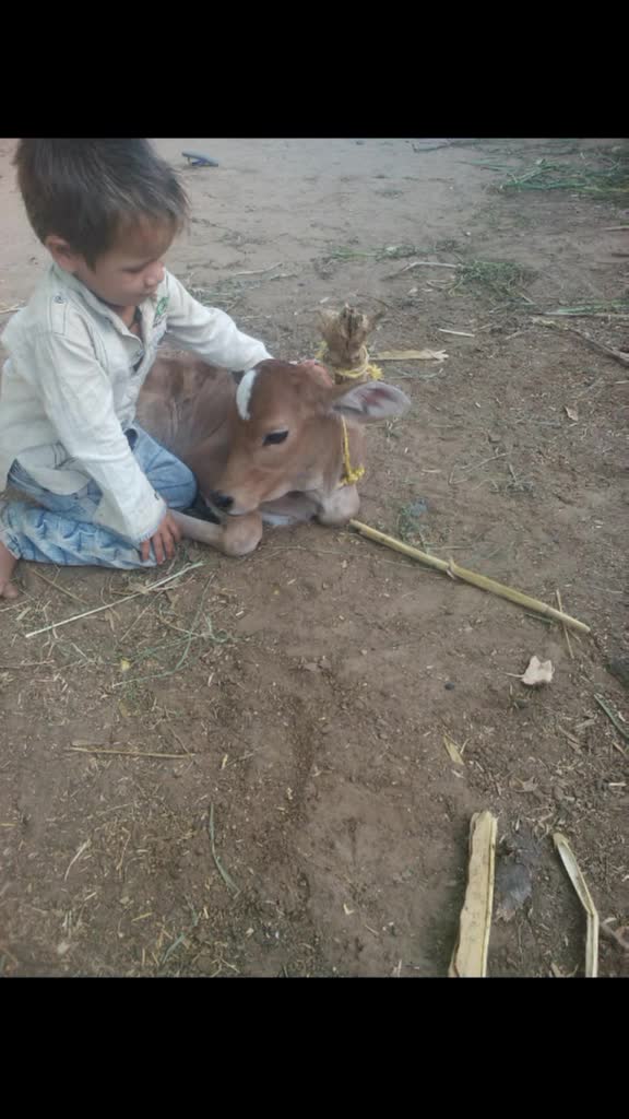 @Ravi Makhod