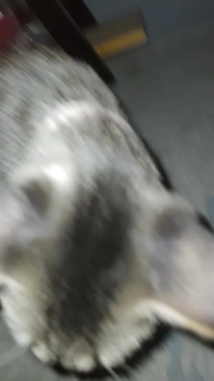 @XDDĎDDDDDDD .O.
