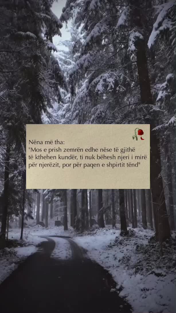 @Thenje&ensp;Per&ensp;Jeten🥀