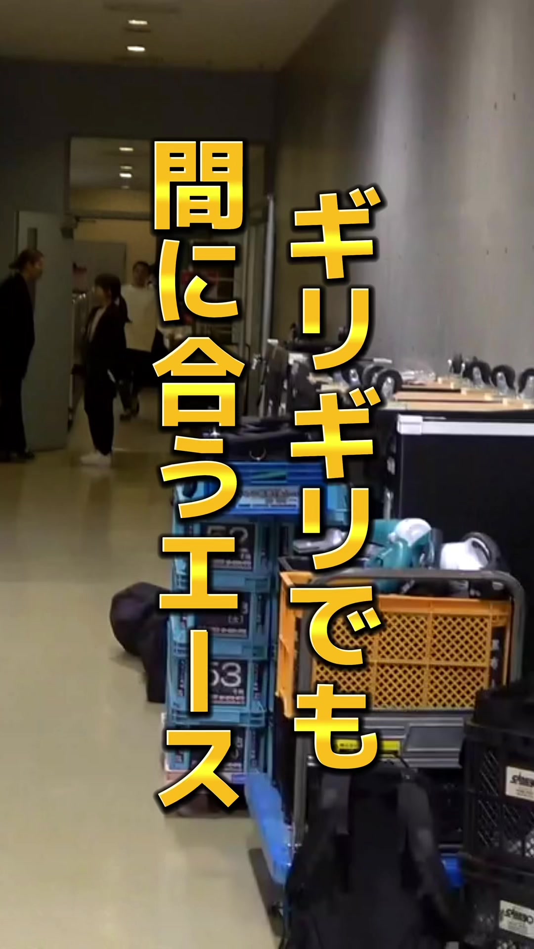 @千葉ジェッツ