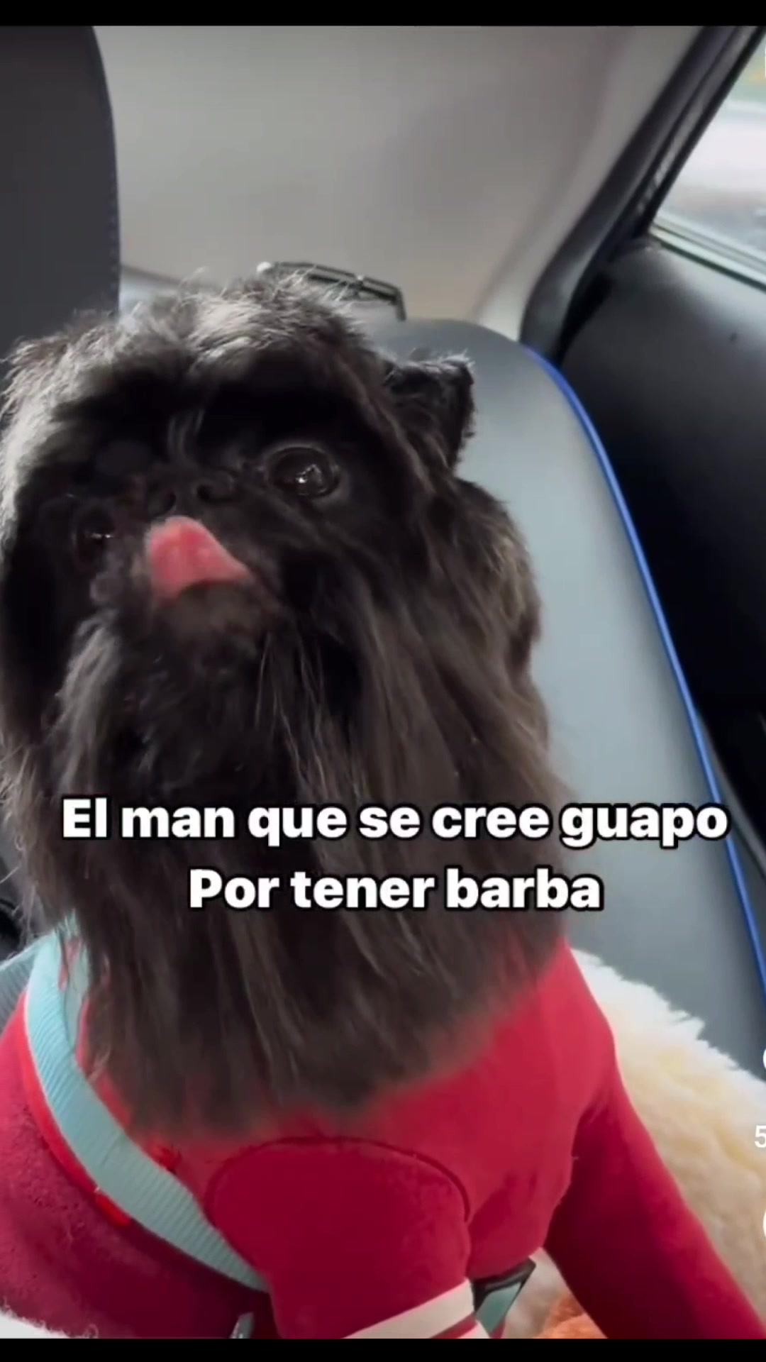@DeQueTeRiesHoy