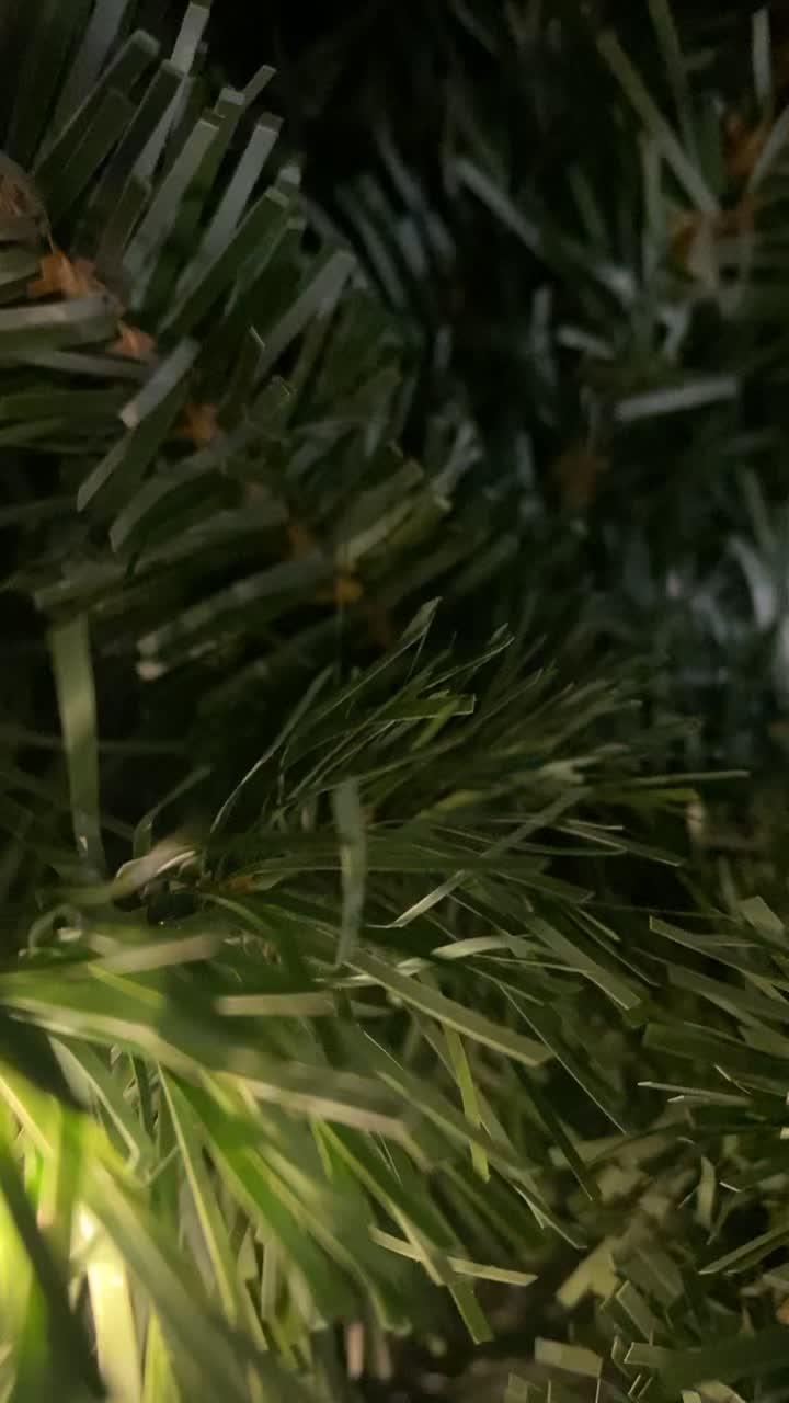 @AnnieInAction 💫