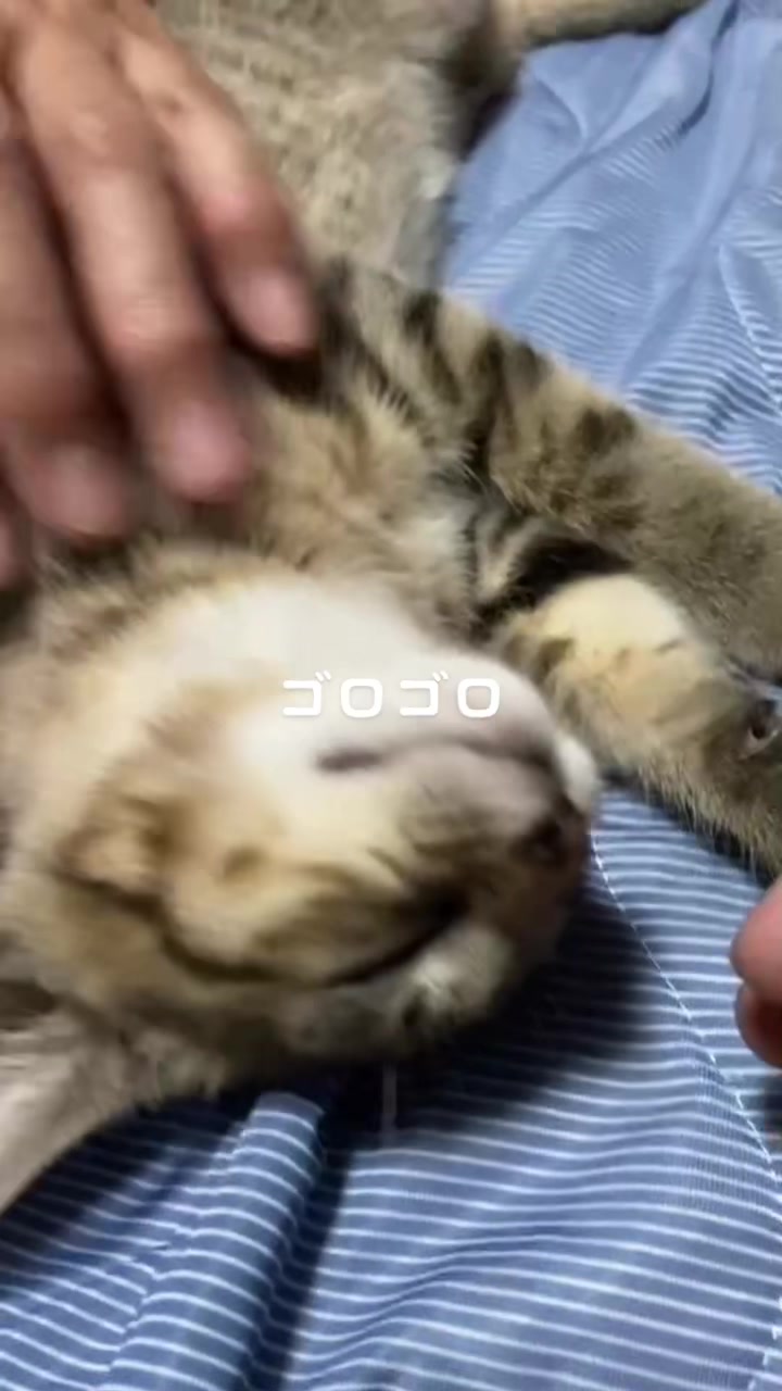 @ひー