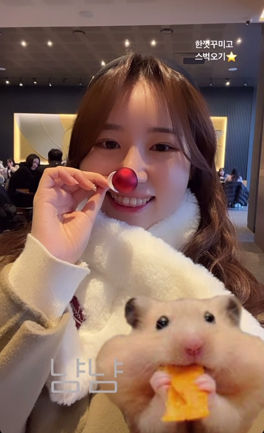 @폴_뚱끼