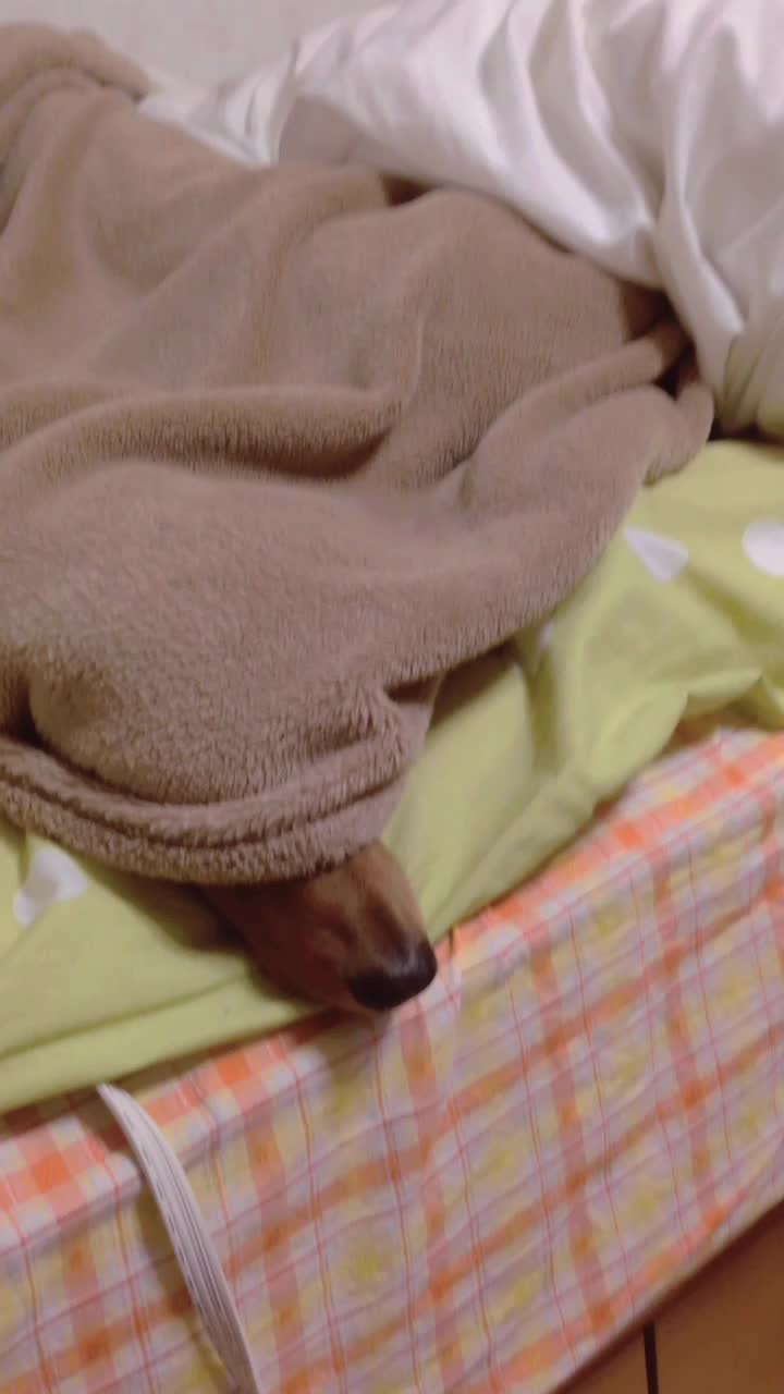 @平尾もとな