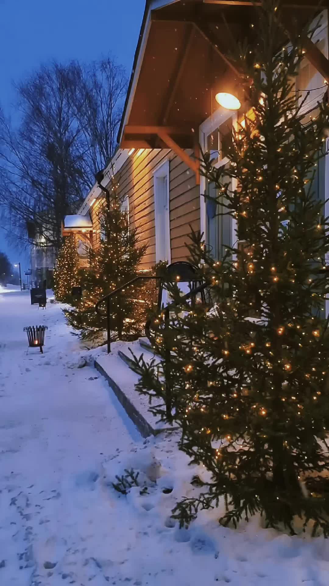 @christmas.tree65