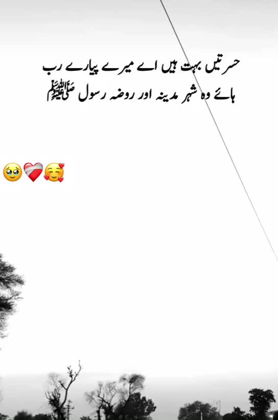 @اُردو شاعری🌸🥀