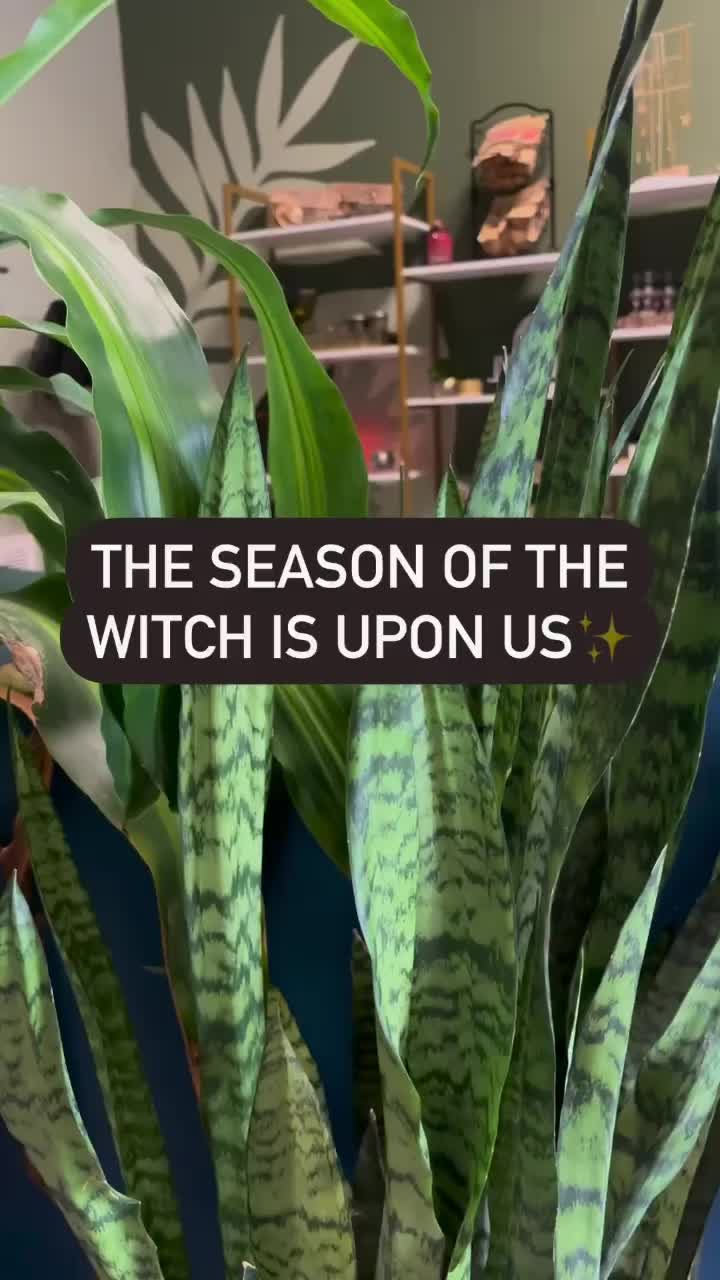 @GreenApotheca