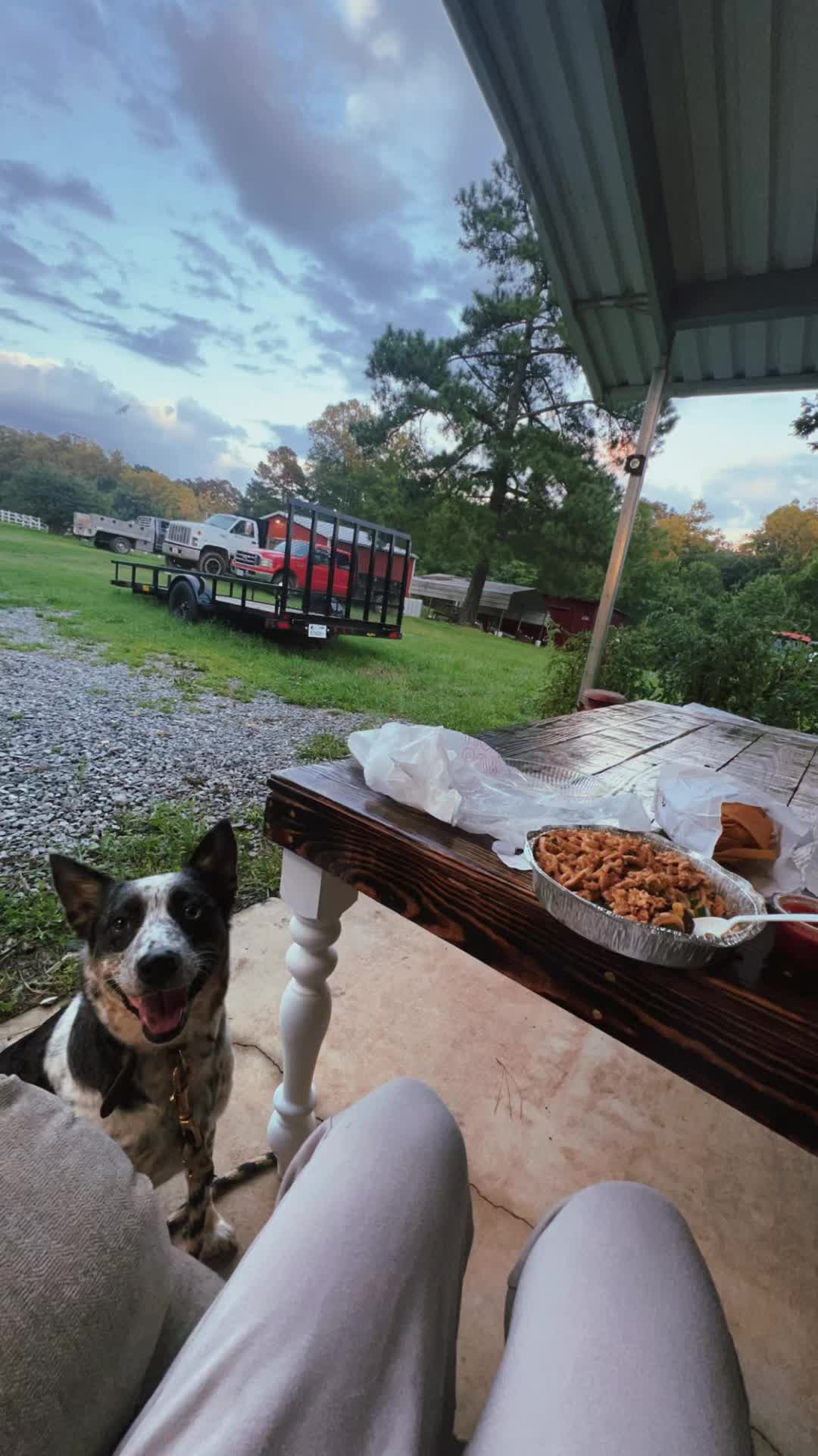@𝙱𝚛𝚒𝚝𝚗𝚎𝚢 𝚆𝚊𝚝𝚝𝚜 🐾