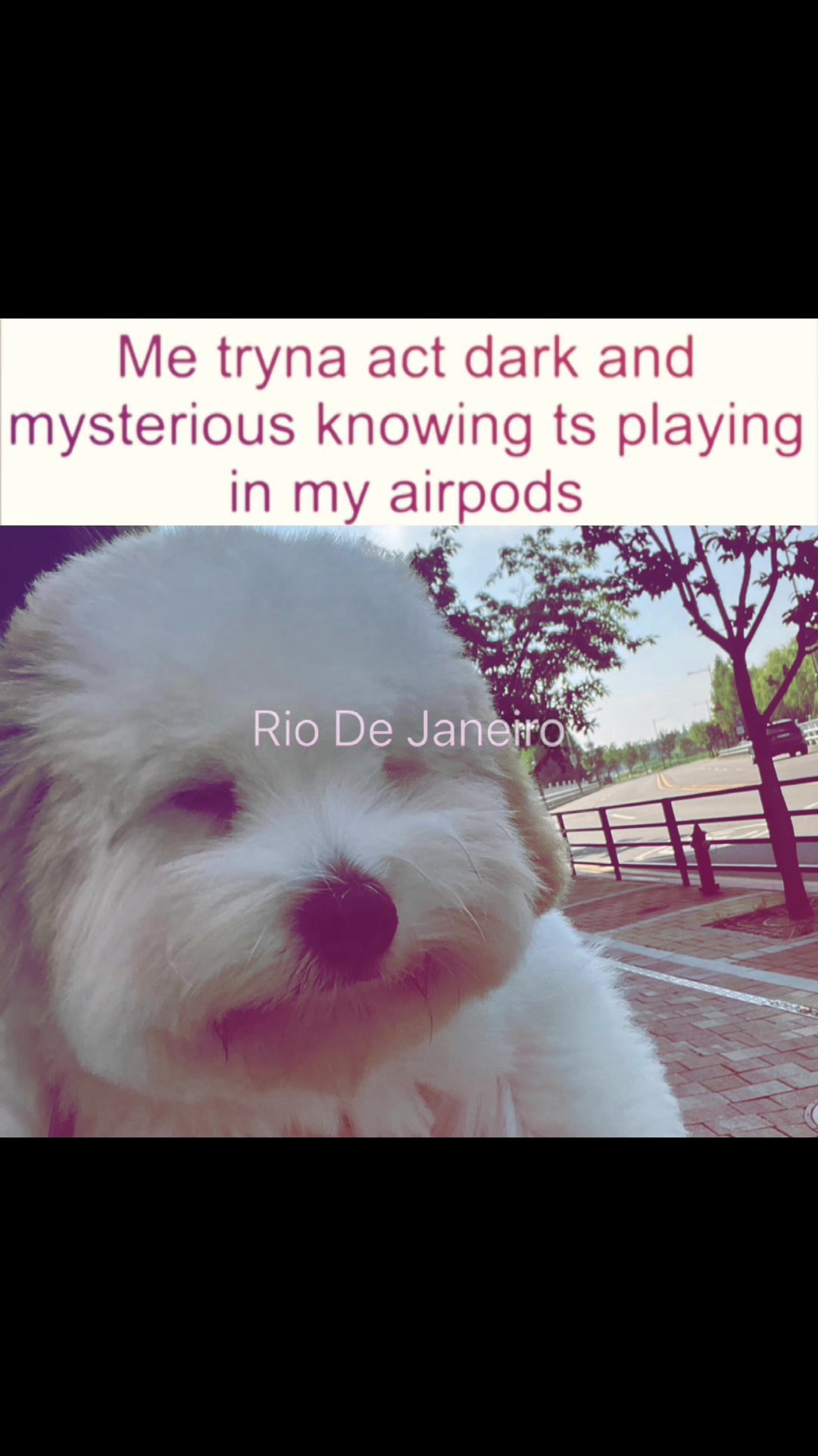 @RURU (。ì _ í。) 💢