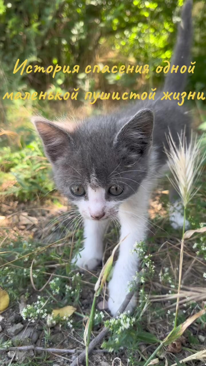 @Артём