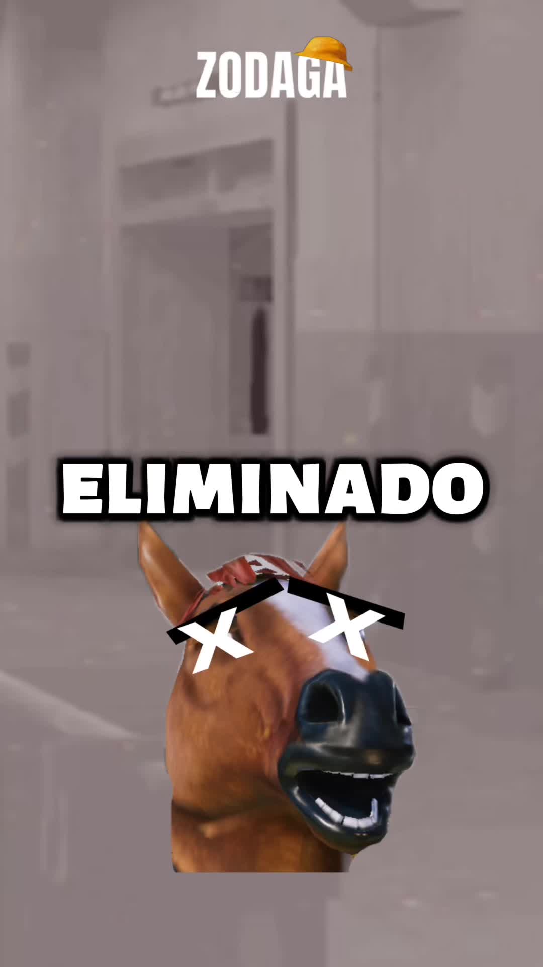 @ZODAGA
