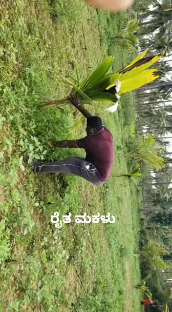 @Mohan gowda
