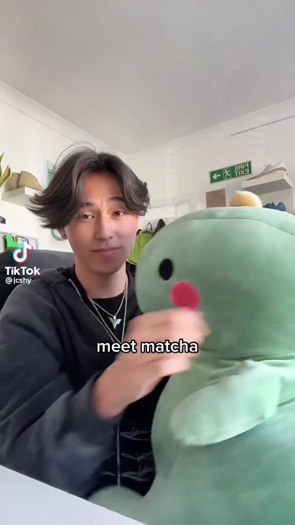 @plumpyplushies