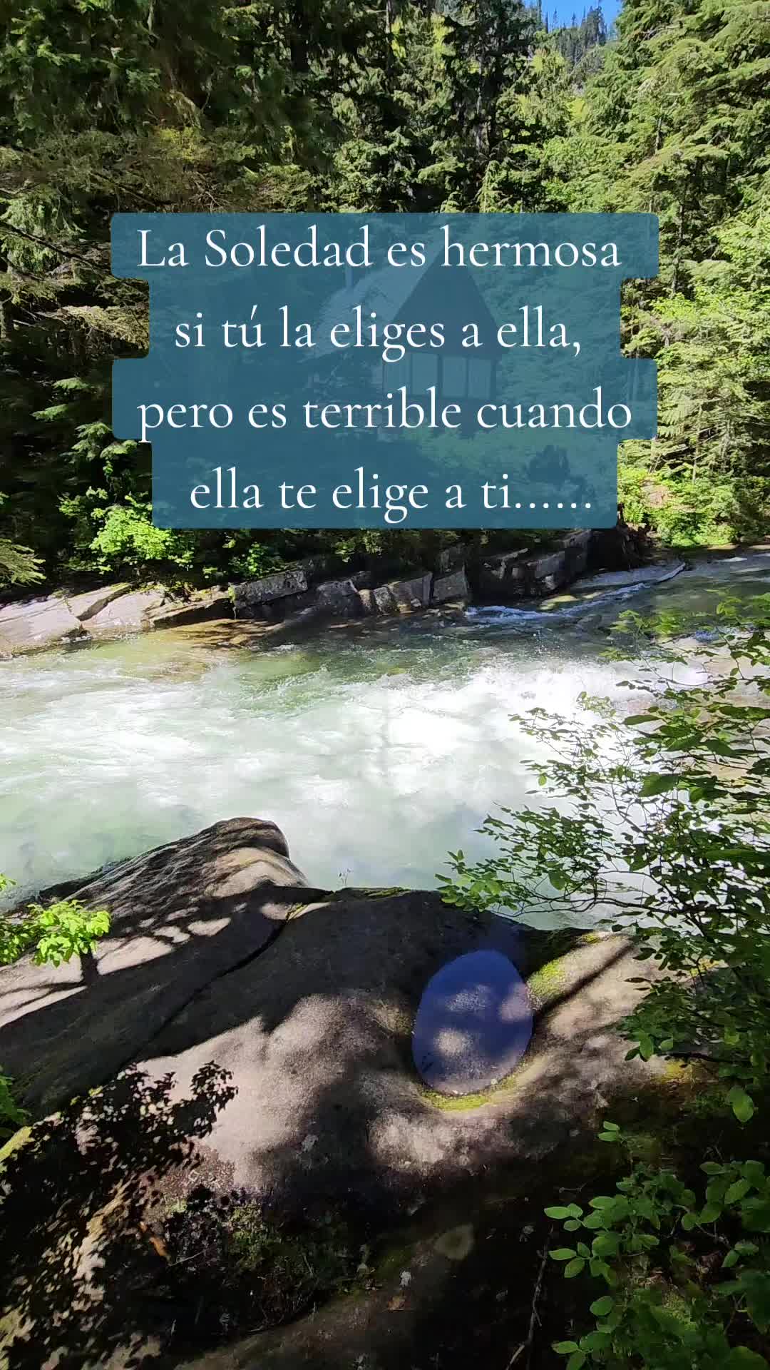 @Soledad ☀️