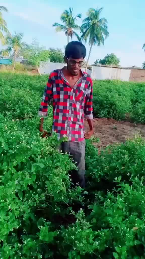 @g, prasad