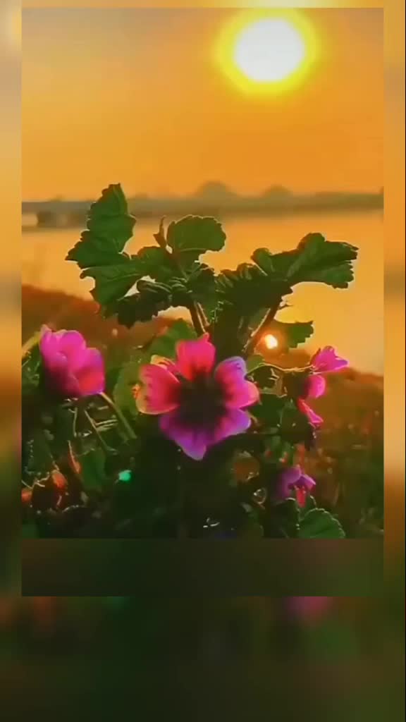 @Mohit Kumar 55555