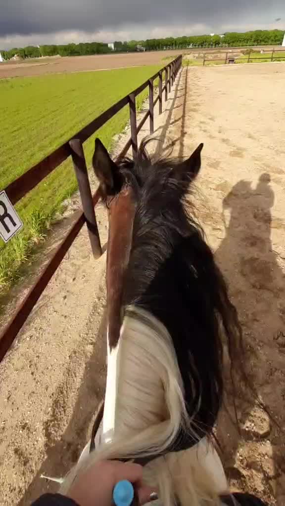 @horsecam
