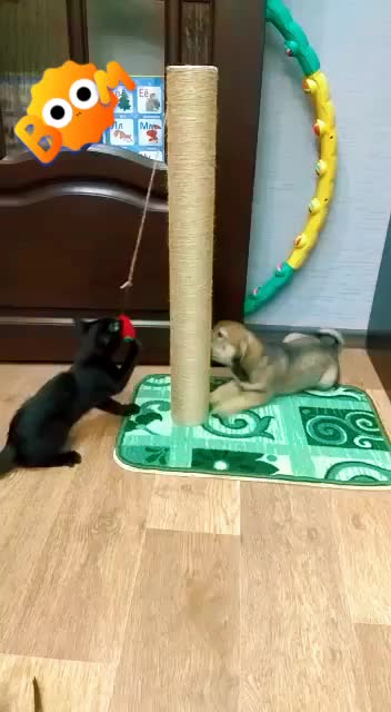 @Инзилечка