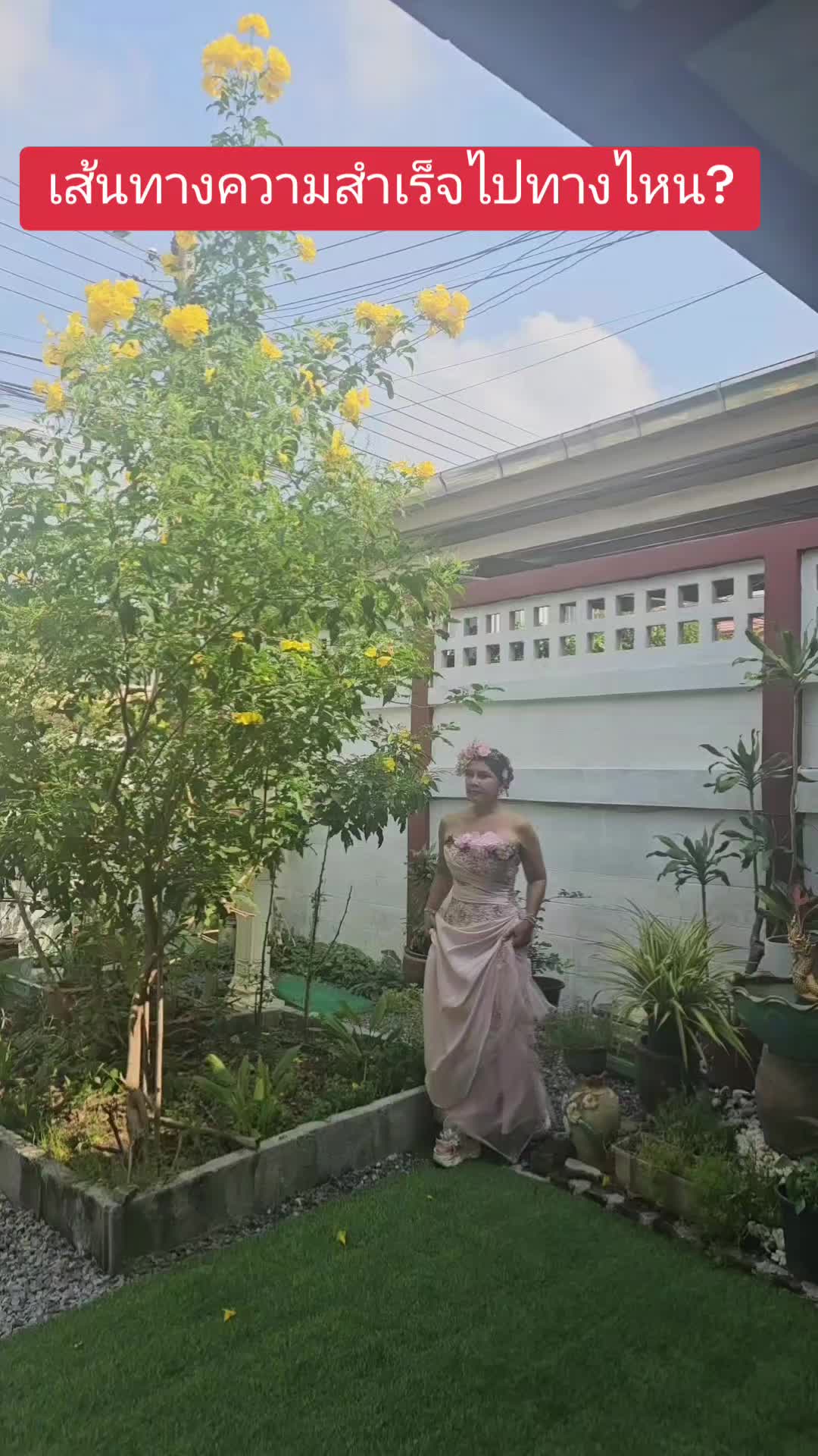 @Toymee