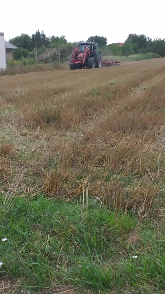 @maszyny🚜🐓🐔