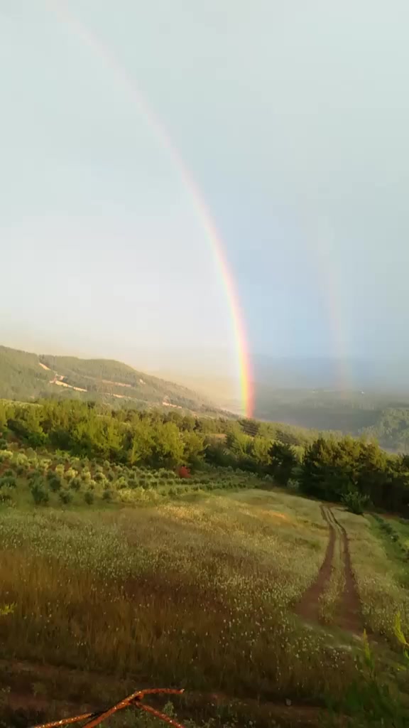 @Mehmet ali çelikkıran01