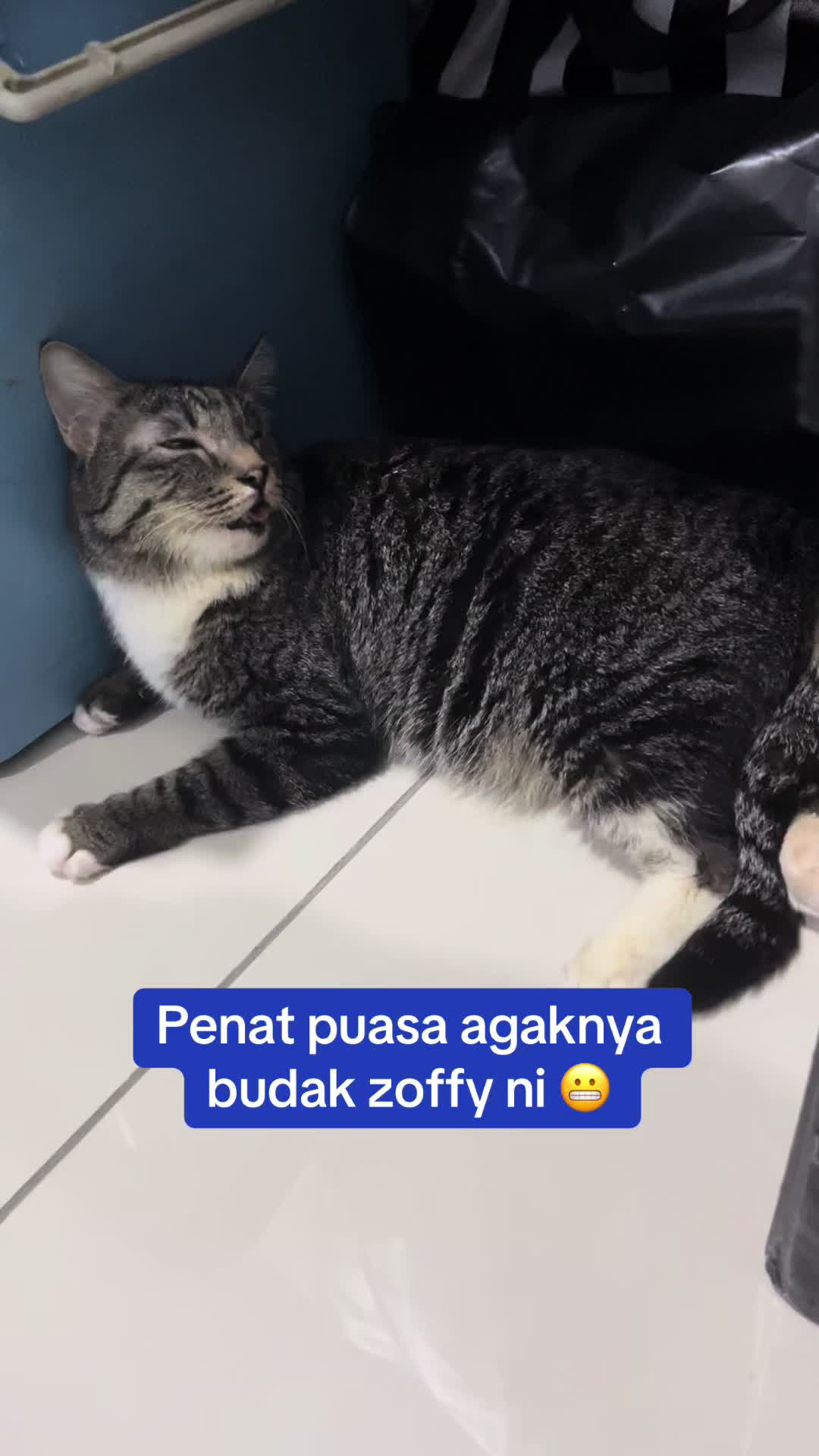@gengbulus