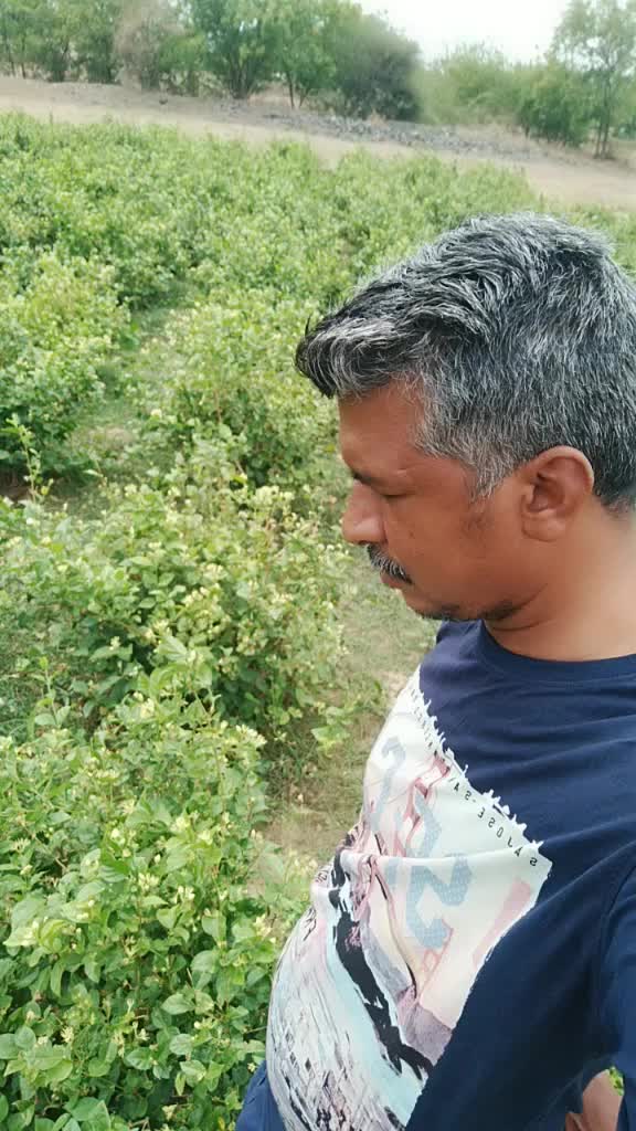 @Ramesh Vellasamy