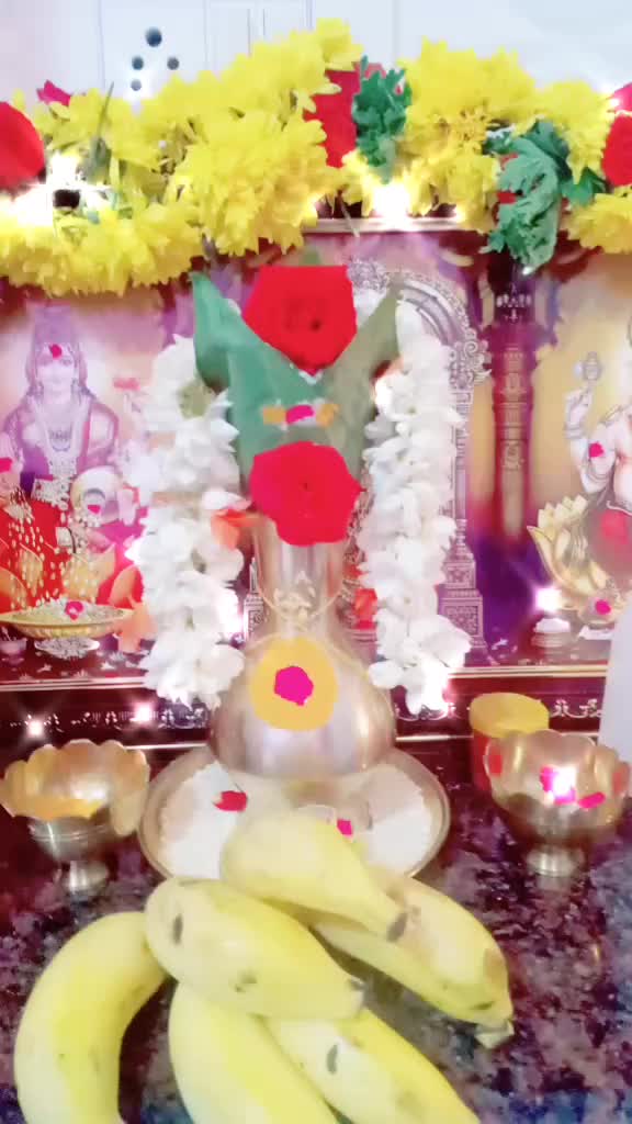 @chitradeepu