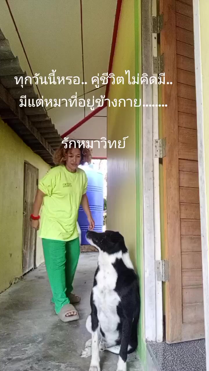 @สายเต้า Ple