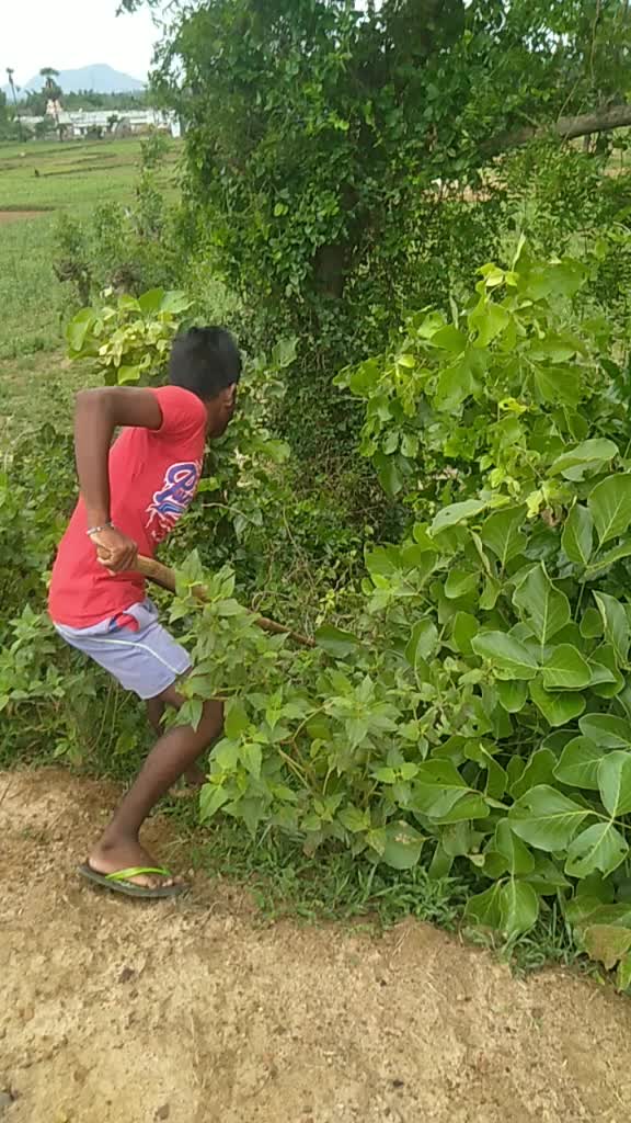 @Rambabu Avala