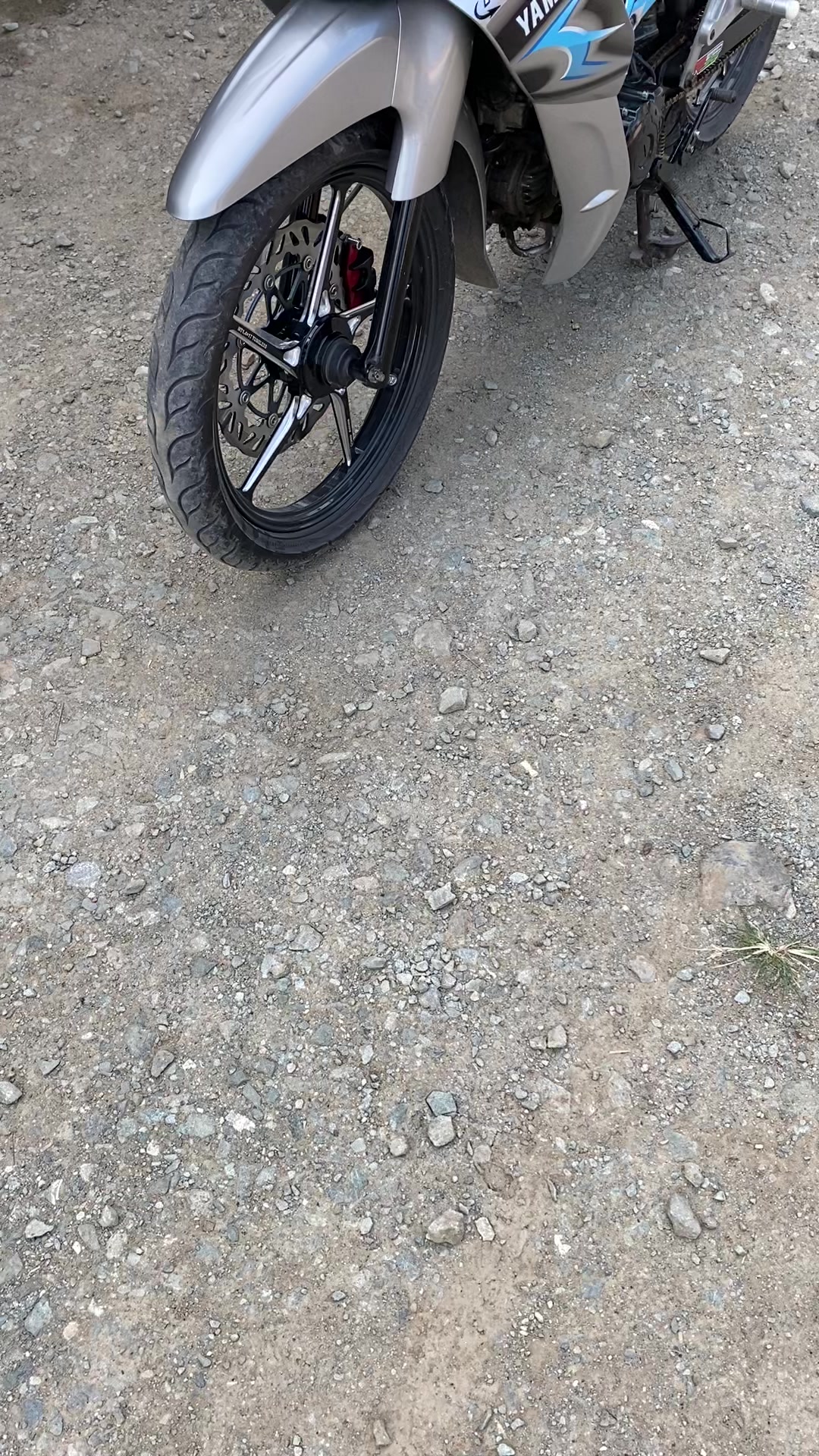 @Pengkii🤪