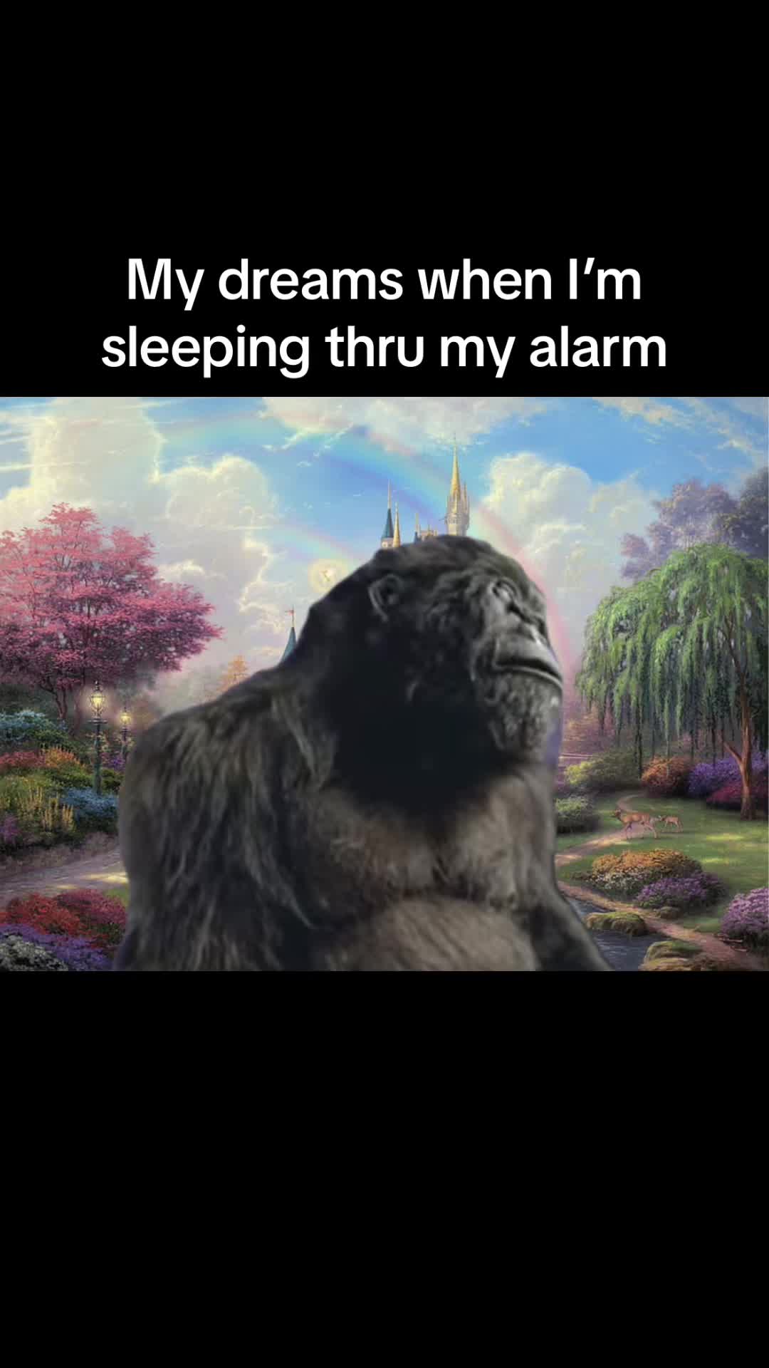 @𝐁𝐥𝐚𝐜𝐤𝐣𝐚𝐜𝐤